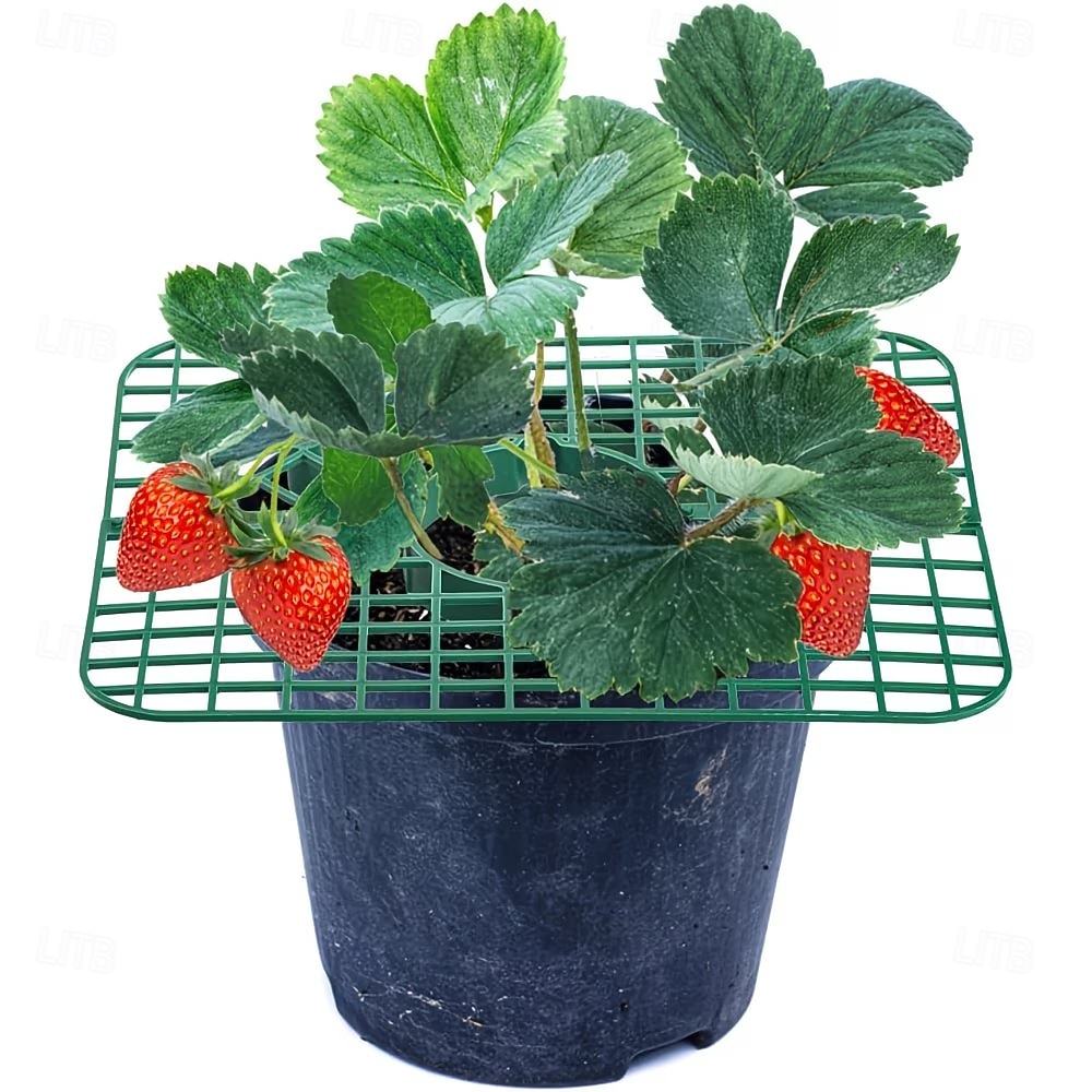 10 Pcs Strawberry Plant Support Frames, Square Growing Racks and Stands, Keep Strawberry Fruits Clean and Elevated, Ideal for Garden Beds, Balcony, Greenhouse, Patio, or Indoor Planting, Easy Assembly 2026 - $15.49 –P4