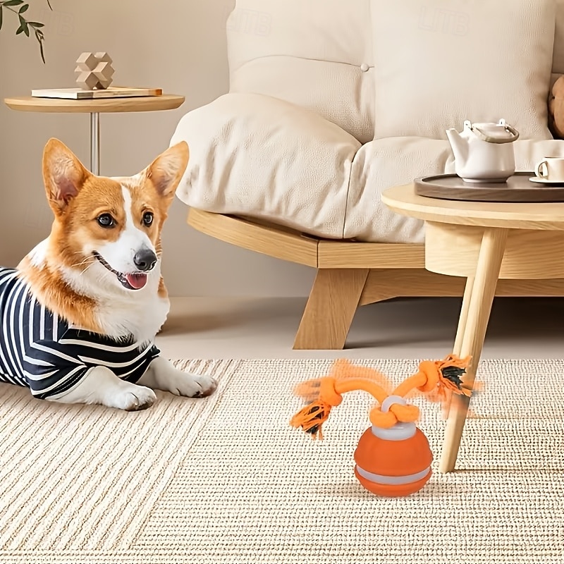 Balle interactive automatique pour chien, 2 couleurs, capteur de mouvement, rechargeable par USB, moteur silencieux haute vitesse, soulage l'anxiété de séparation, jeu intérieur/extérieur, jouet pour de 2026 ? $30.99 –P3