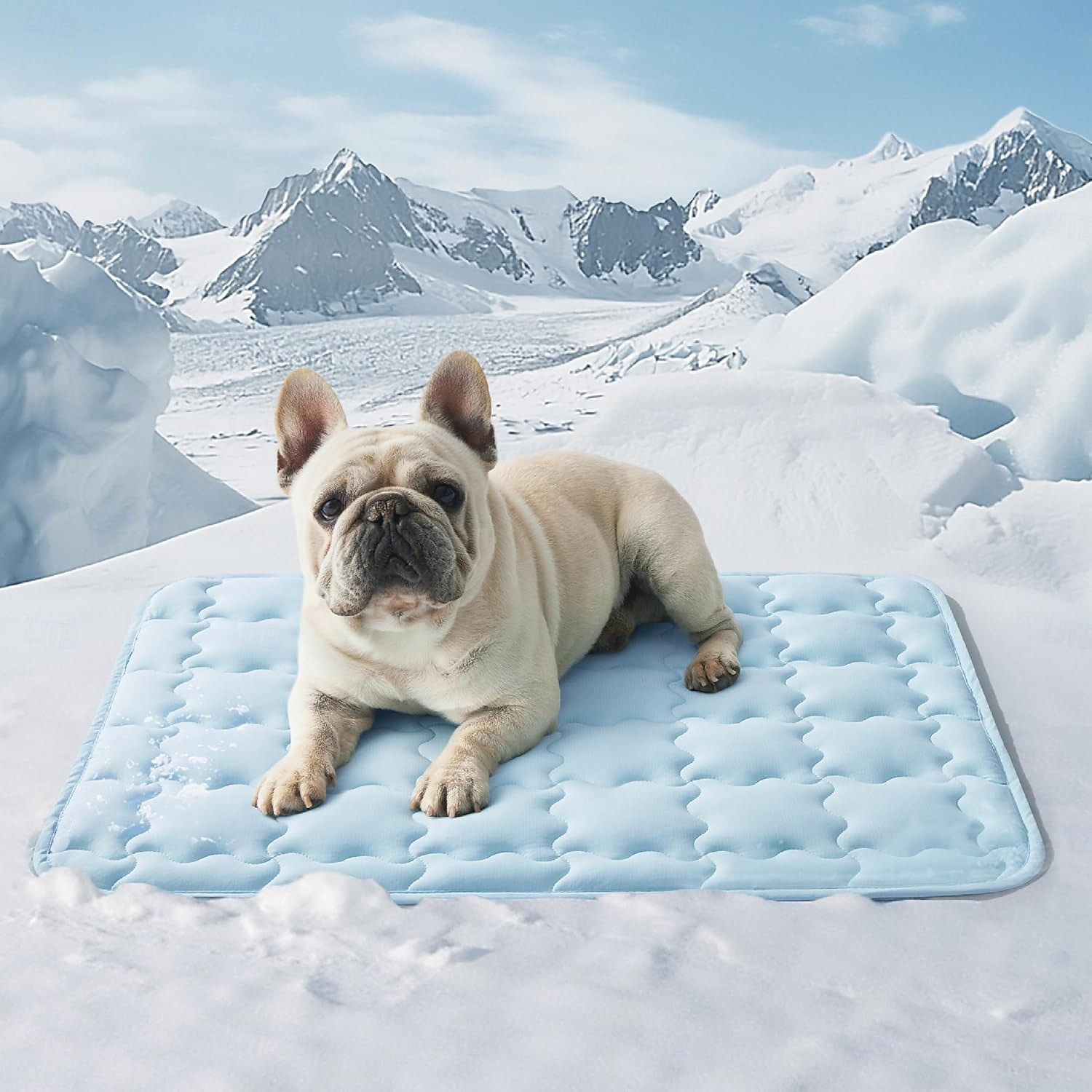 Dog Cooling Mat Pet Cooling Pad for Dogs and Cats Ice Silk Summer Cooling Pet Bed Mat Washable Breathable Non Slip Cat Dog Crate Mat for Indoor Outdoor Sofa Floor 2026 - $25.99 –P8