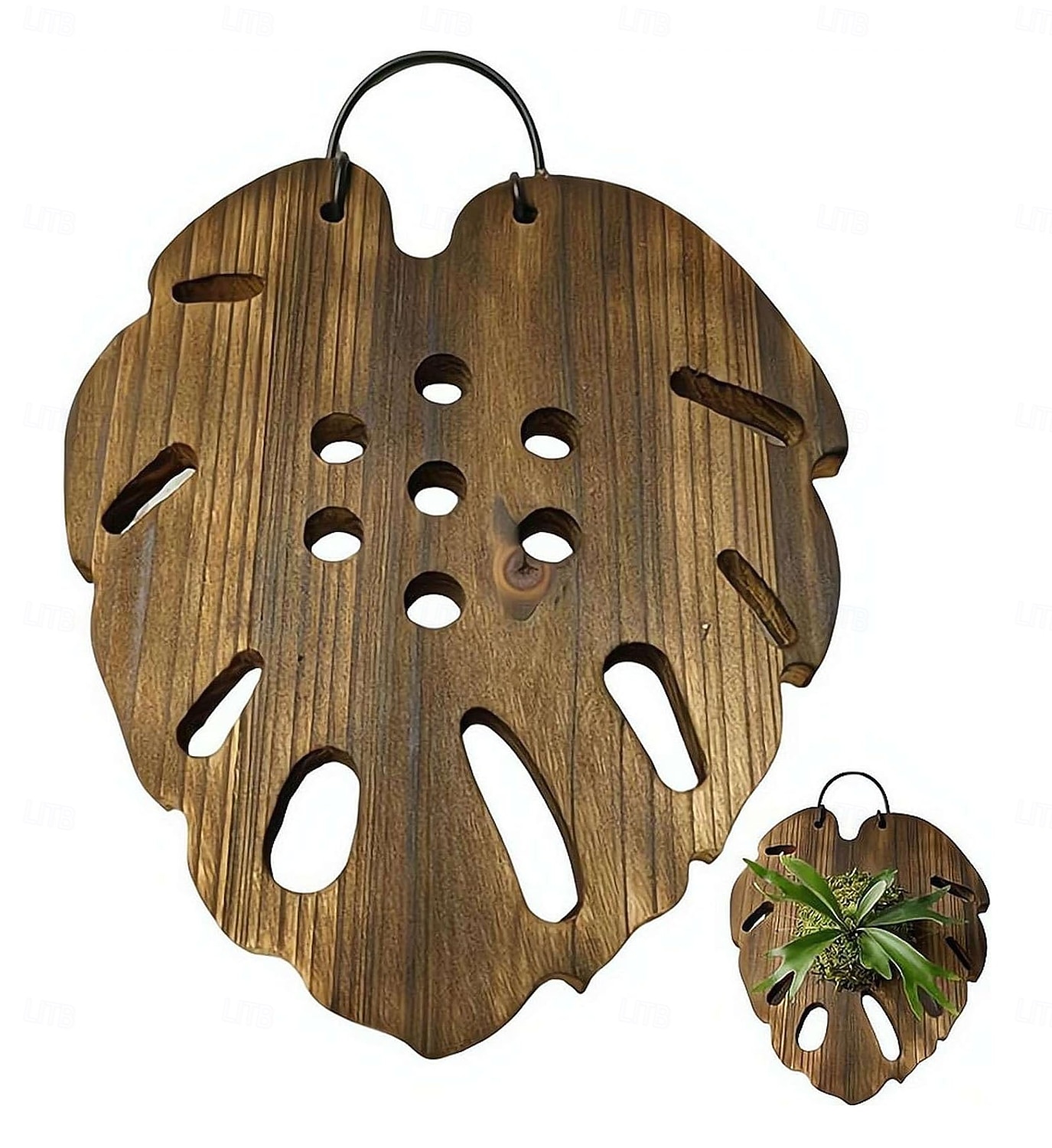 Bevestigingsplank voor varens, zeshoekige houten ophangbasis met voorgeboorde gaten voor verticale tuinen, stevige plantenhouder van Chinees sparrenhout voor epifytische planten, wanddecoratie 2026 - $16.99 –P1