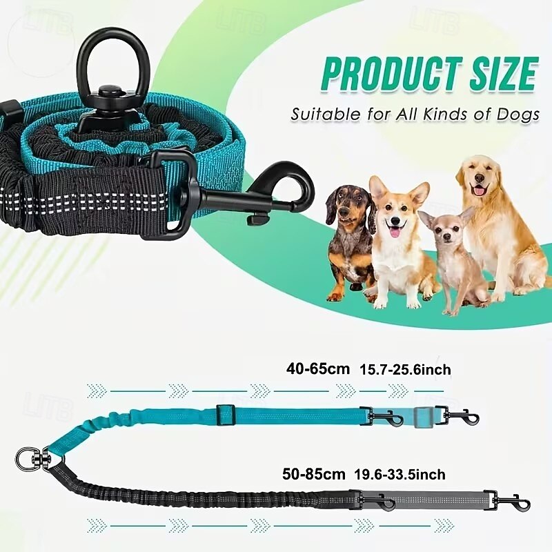 2pcs Dual Dog Leash Attachment - Double Leashes for Training Small to Large Dogs - Adjustable Strap Shock Absorbing Bungee Leashes 2026 - $20.99 –P6