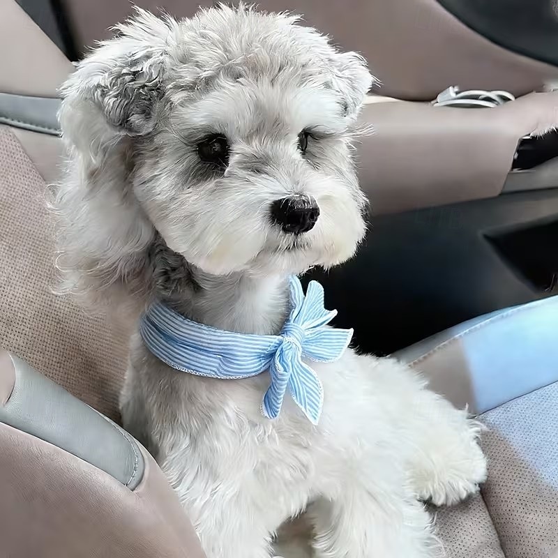 5 bufandas refrescantes universales de verano para mascotas, para perros. &collar para el cuello del gato, toalla fría para la prevención del golpe de calor, anillo de hielo para el cuello para 2026 - $18.49 –P3
