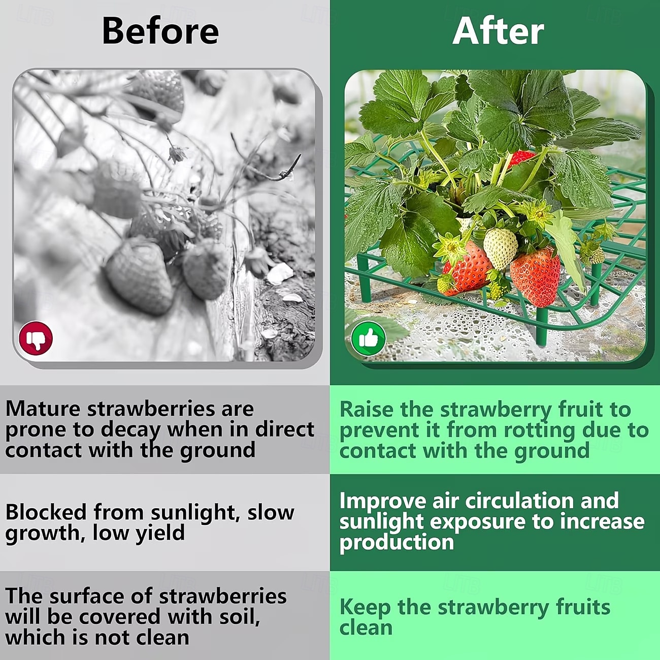 10 Pcs Strawberry Plant Support Frames, Square Growing Racks and Stands, Keep Strawberry Fruits Clean and Elevated, Ideal for Garden Beds, Balcony, Greenhouse, Patio, or Indoor Planting, Easy Assembly 2026 - $15.49 –P5