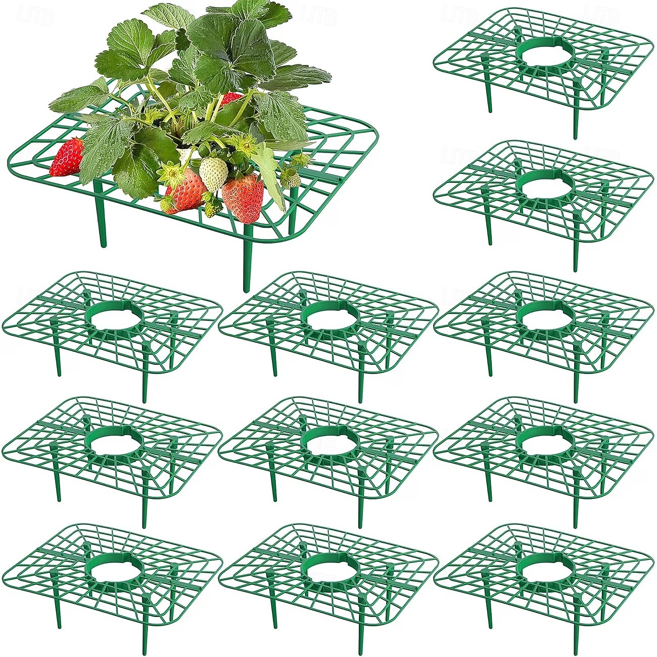 10 Pcs Strawberry Plant Support Frames, Square Growing Racks and Stands, Keep Strawberry Fruits Clean and Elevated, Ideal for Garden Beds, Balcony, Greenhouse, Patio, or Indoor Planting, Easy Assembly 2026 - $15.49 –P1