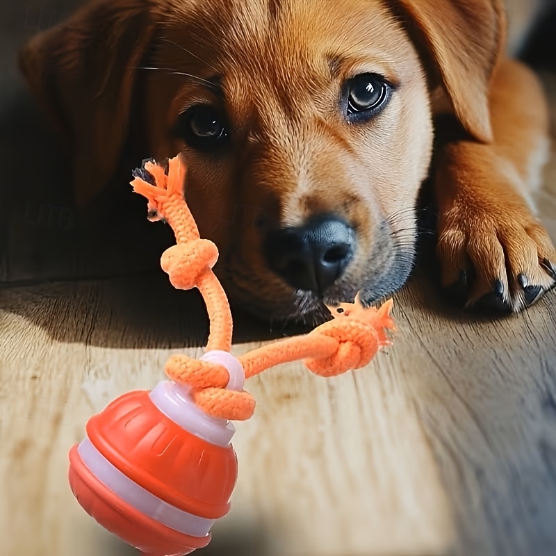Balle interactive automatique pour chien, 2 couleurs, capteur de mouvement, rechargeable par USB, moteur silencieux haute vitesse, soulage l'anxiété de séparation, jeu intérieur/extérieur, jouet pour de 2026 ? $30.99 –P1