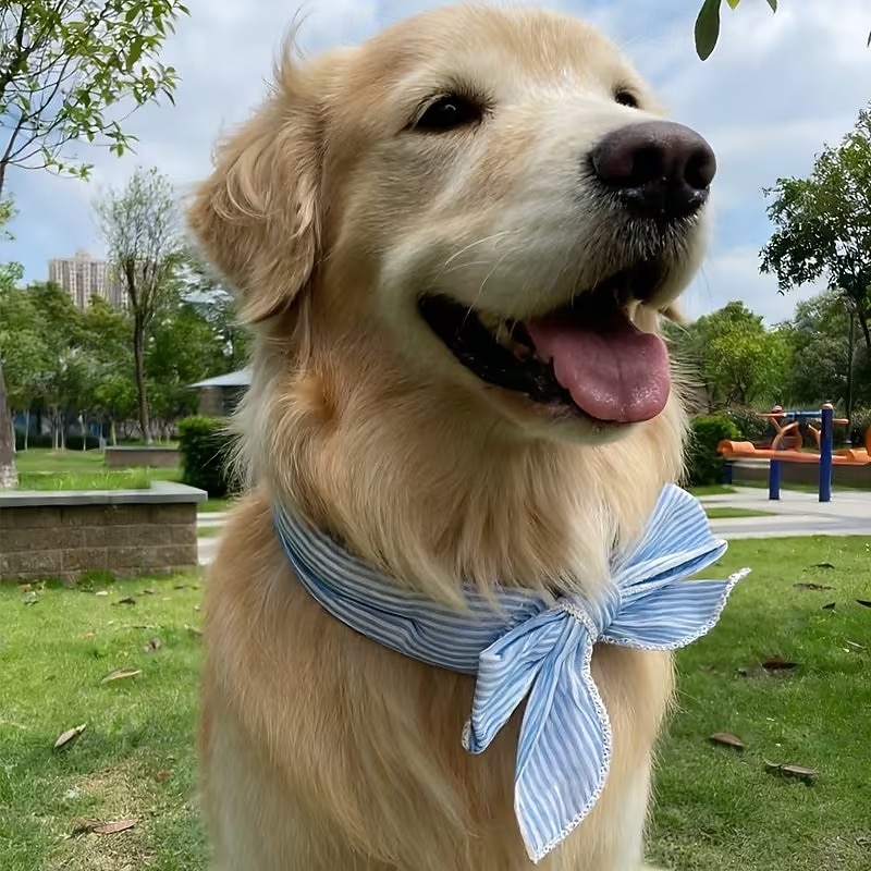 5 bufandas refrescantes universales de verano para mascotas, para perros. &collar para el cuello del gato, toalla fría para la prevención del golpe de calor, anillo de hielo para el cuello para 2026 - $18.49 –P5