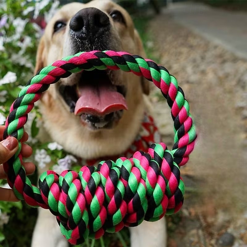 1pc Large Breed Knot Dog Toy-Multicolor, Tough Chew Toy for Aggressive Chewers, Heavy Duty Dental Floss Toy Kit Anti-Chew Design 2026 - $19.99 –P1