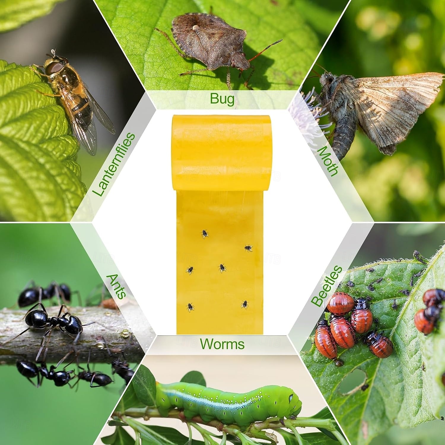 5meters Lantern Fly Tree Tape Outdoor Adhesive Crawling Insect Trap Yellow Sticky Traps Sticky Barrier Protecting Trees Outdoor Indoor Fruit Tree Lawn Garden Control Aphids Ant Moth 2026 - $10.49 –P5