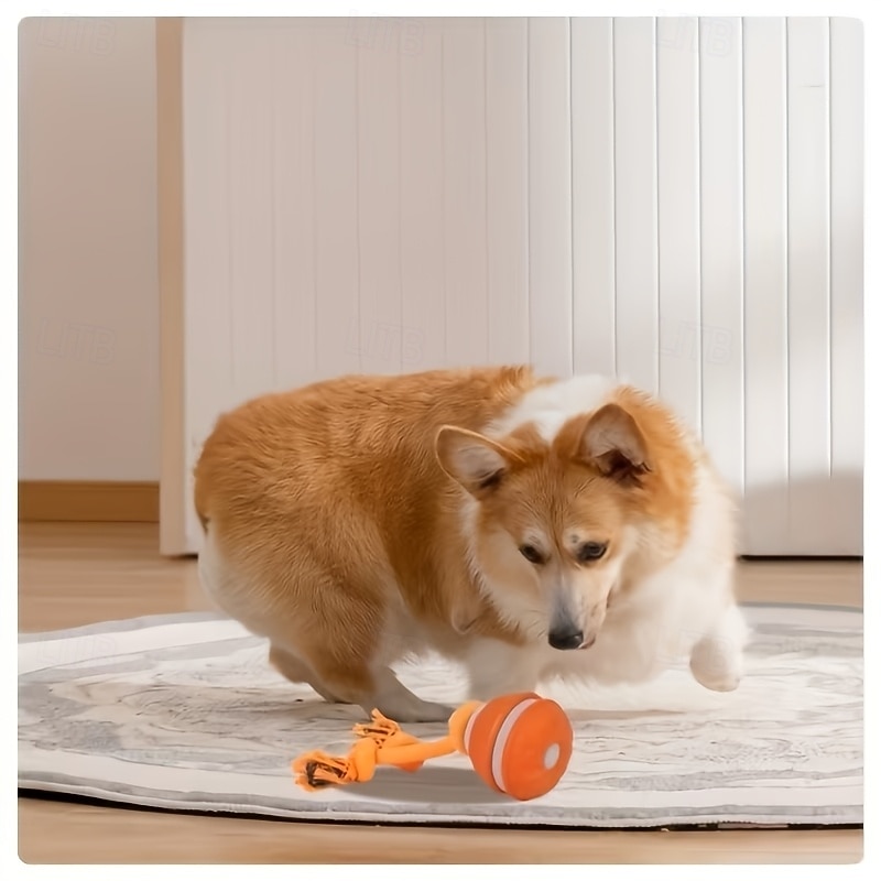 Balle interactive automatique pour chien, 2 couleurs, capteur de mouvement, rechargeable par USB, moteur silencieux haute vitesse, soulage l'anxiété de séparation, jeu intérieur/extérieur, jouet pour de 2026 ? $30.99 –P9