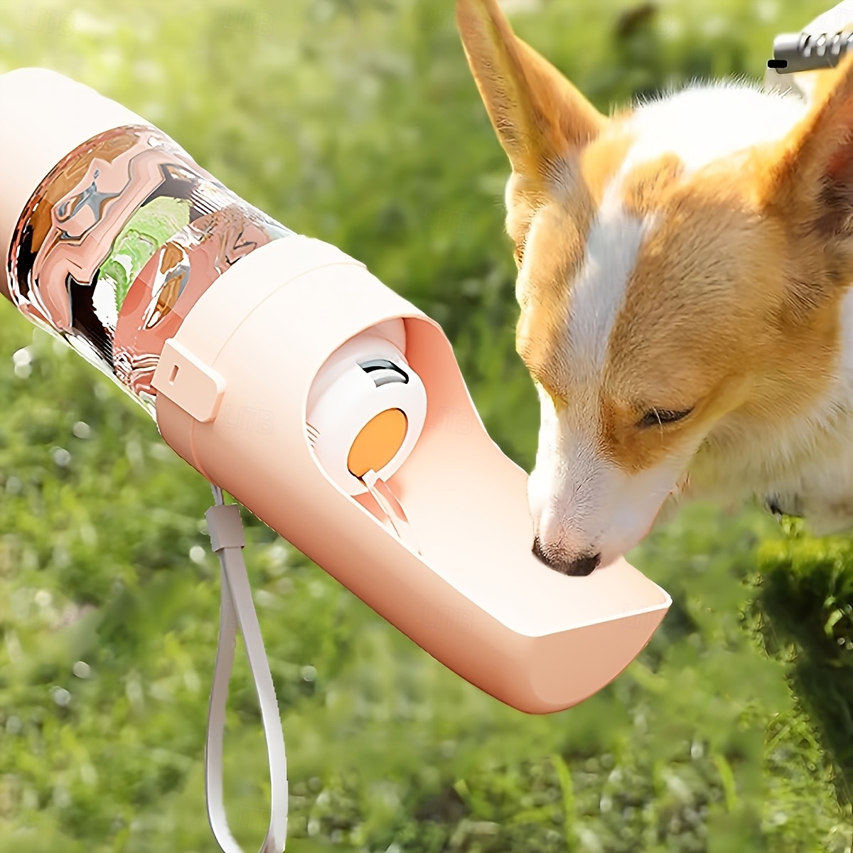 Botella de agua portátil a prueba de fugas para perros, vaso de agua de viaje para perros, taza/bebida de viaje plegable 2026 - $25.99 –P3