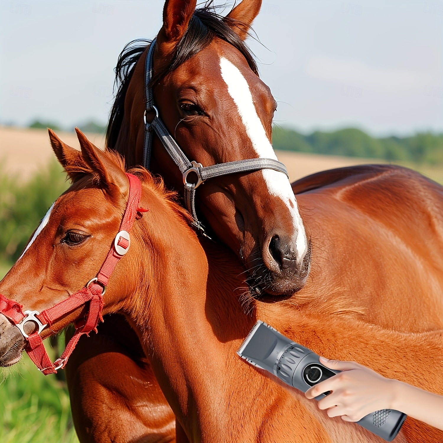 Combination size, adjustable razor size, high power, low noise, lightweight, LCD battery display, rechargeable, suitable for large, medium, and small pets as well as horses, electric grooming clipper 2026 - $50.99 –P6