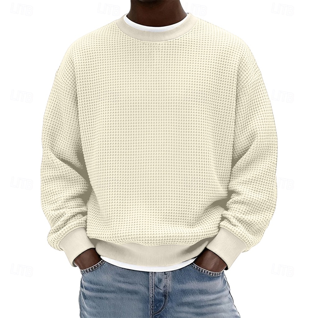Pánské Mikina Waffle mikina Svetrová mikina s kapucí Vínově rudá Černá Bílá Světle zelená Námořnická modř Tričkový Bez vzoru S texturou Ležérní Denní Sporty a outdoor Polyester Šik ven Chladn 2026 - $24.99 –P13