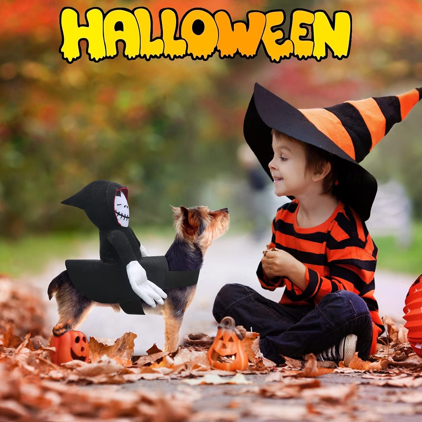 halloweenský kostým pro psa 2026 - $19.99 –P3