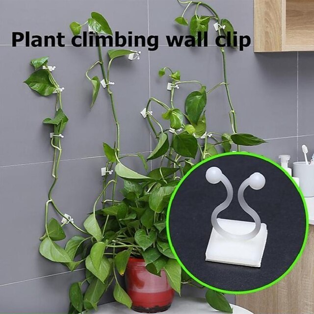 80 Clips Auto-Adhésifs Pour Plantes - Fixation Vignes Et Fils - Blanc