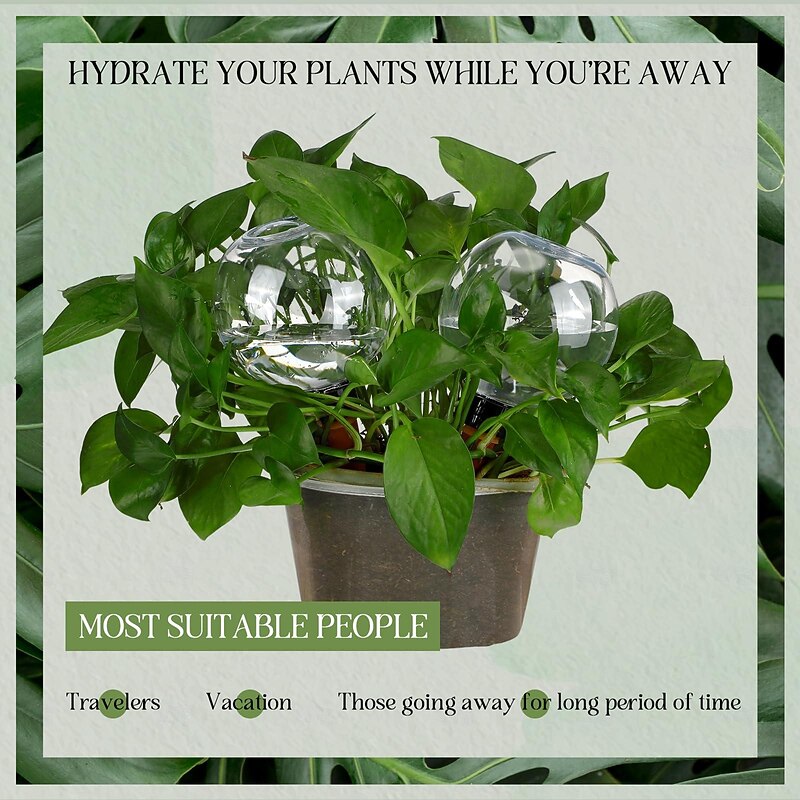 Globi Di Irrigazione Lotvic: Fai Da Te L'irrigazione Automatica Per Piante Da Interno Ed Esterno, Lampadine D'acqua In Vetro, Regalo Ideale Per I Pollici Verdi - 4
