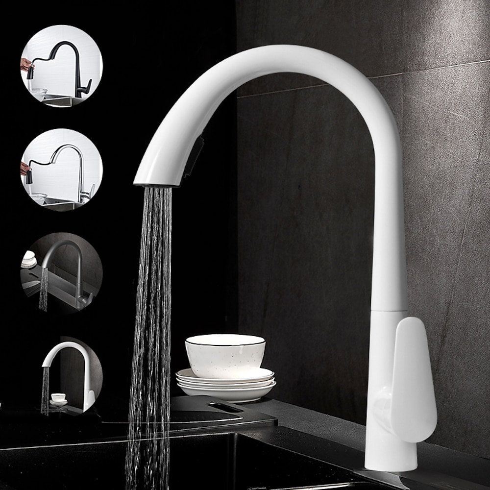 Armatur für die Küche - Einhand Ein Loch Galvanisierung / Lackierte Oberflächen Herausziehen / Herunterziehen Mittellage Minimalistisch / Moderne zeitgenössische Kitchen Taps Lightinthebox