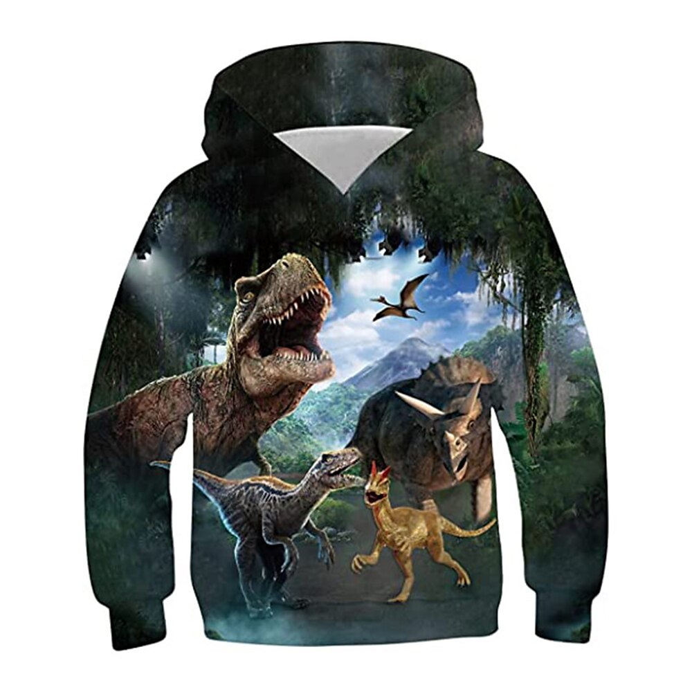 Jungen 3D Tier Dinosaurier Kapuzenshirt Langarm 3D-Druck Herbst Winter Aktiv Sport Modisch Polyester kinderkleidung 3-13 Jahre Outdoor Täglich Innen Regular Fit Lightinthebox
