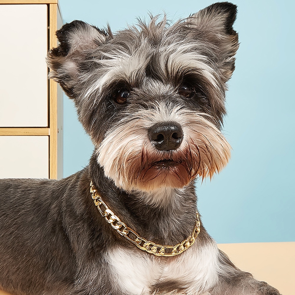 haustierhalskette sommer neue niedliche schnauzer bomei teddy fadou halsband hersteller großhandel hundehalskette Lightinthebox