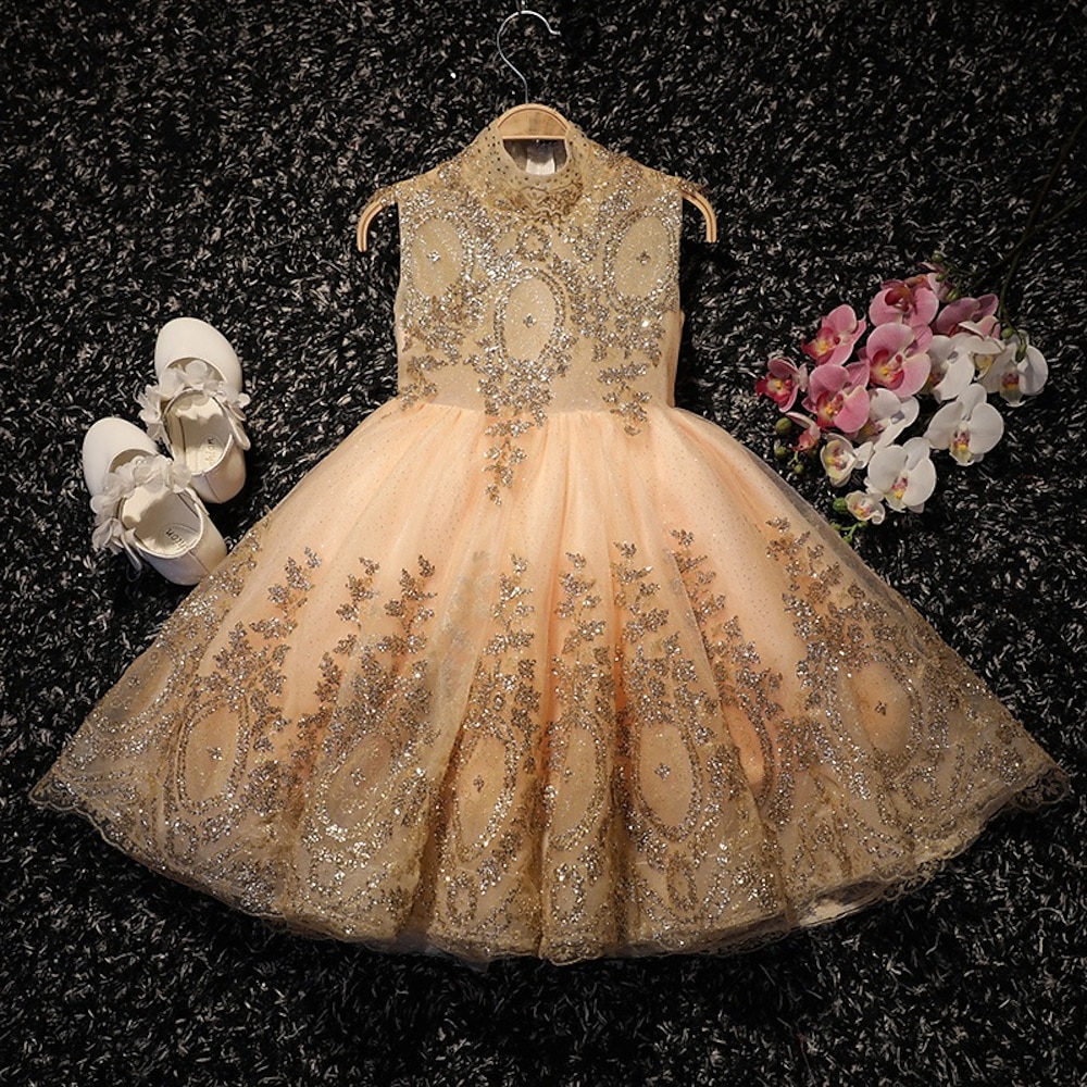 Partykleid für Kinder, Mädchen, einfarbig, ärmellos, Leistung, Mesh, Prinzessin, süßes Mesh-Etuikleid in der Mitte der Wade, Tüllkleid, Sommer, Frühling, Herbst, 2-12 Jahre, Champagner Lightinthebox