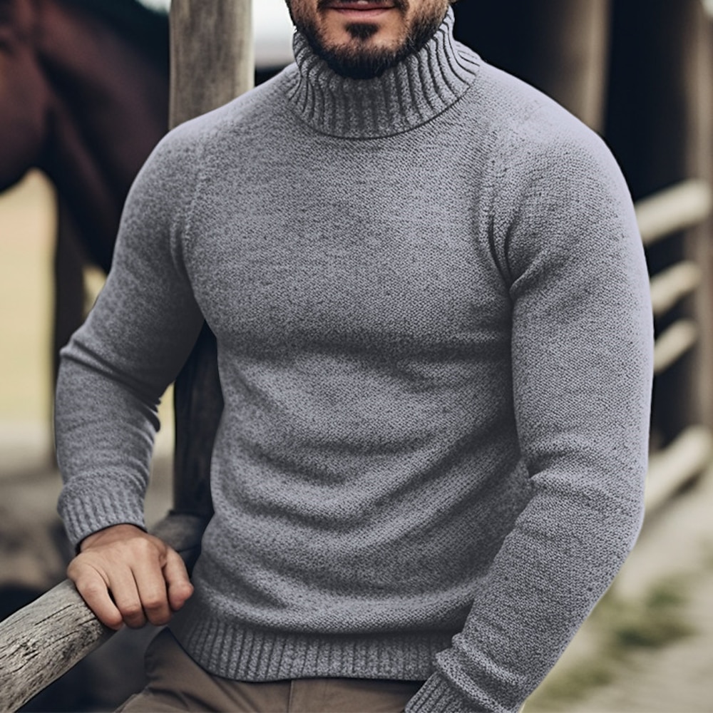 Herren Rollkragenpulli Pullover Rollkragenpullover für Herren Zur Seite fahren Gerippt Stricken Strick Glatt Rollkragen warm halten Moderne zeitgenössische Freizeitskleidung Ausgehen Bekleidung Lightinthebox