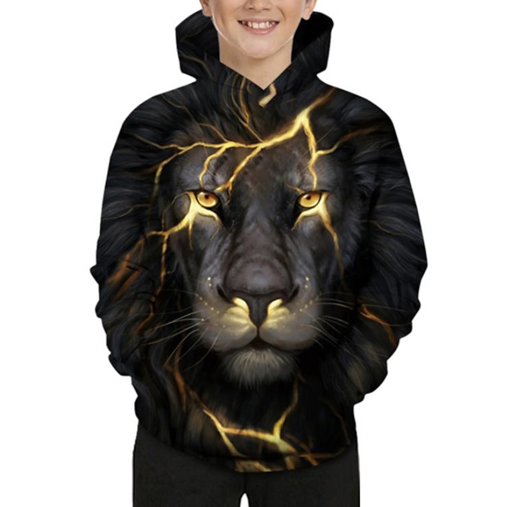 Jungen 3D Kapuzenshirt Langarm 3D-Druck Frühling Herbst Winter Aktiv Basic kinderkleidung Baby 2-13 Jahre Outdoor Täglich Lightinthebox