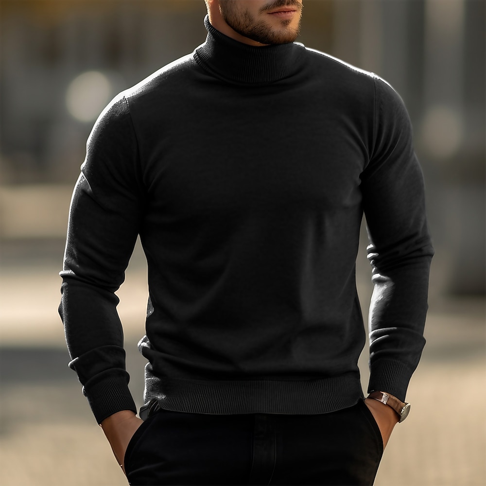 Herren Rollkragenpulli Pullover Strickpullover Gerippt Stricken Standard Strick Grundlegend Glatt Rollkragen warm halten Moderne zeitgenössische Casual Freizeitskleidung Bekleidung Herbst Winter Wein Lightinthebox