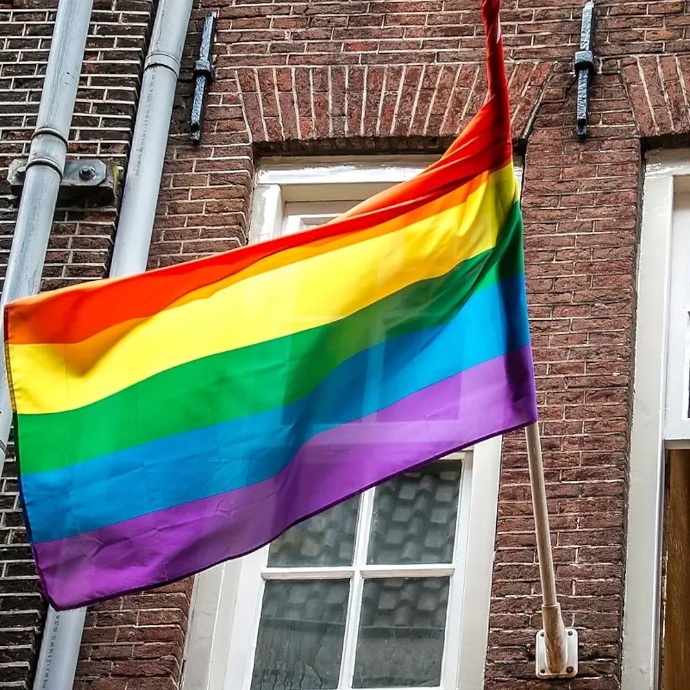 LGBTQ LGBT Pride Monat Regenbogen Flagge Outdoor Außen Innen mit Ösen Haus Hof Garten Dekorationen Urlaub Banner Zeichen Lightinthebox