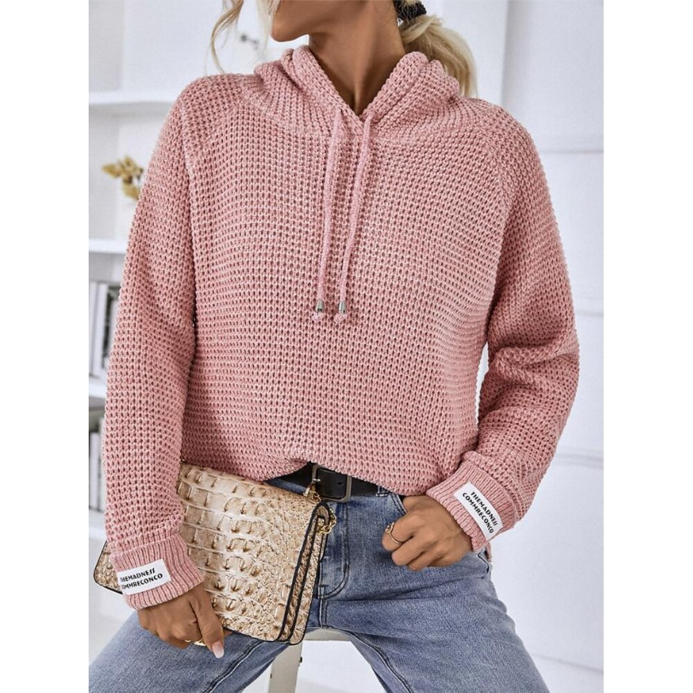 Damen Pullover Mit Kapuze Stricken Polyester Strick Herbst Winter Standard Formal Heim Täglich Täglich Brautkleider schlicht Langarm Feste Farbe Weiß Rosa Blau S M L Lightinthebox