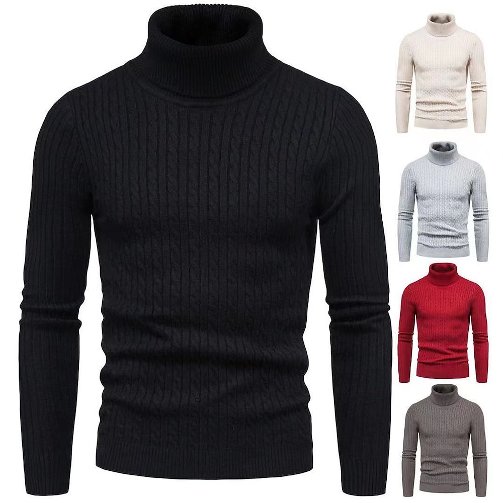 Herren Rollkragenpulli Pullover Gerippt Stricken Standard Strick Schmaler Schnitt Glatt Rollkragen Moderne zeitgenössische Arbeit Freizeitskleidung Bekleidung Winter Frühling Herbst Schwarz Weiß M Lightinthebox