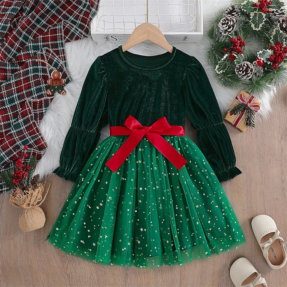 kinderkleidung Mädchen Weihnachtsoutfit Kleid Stern Emoji Langarm Party Outdoor Spitze Elegant Modisch Täglich Polyester Knielang Casual kleid Tüll-Kleid Frühling Herbst 4 Jahre Grün Lightinthebox