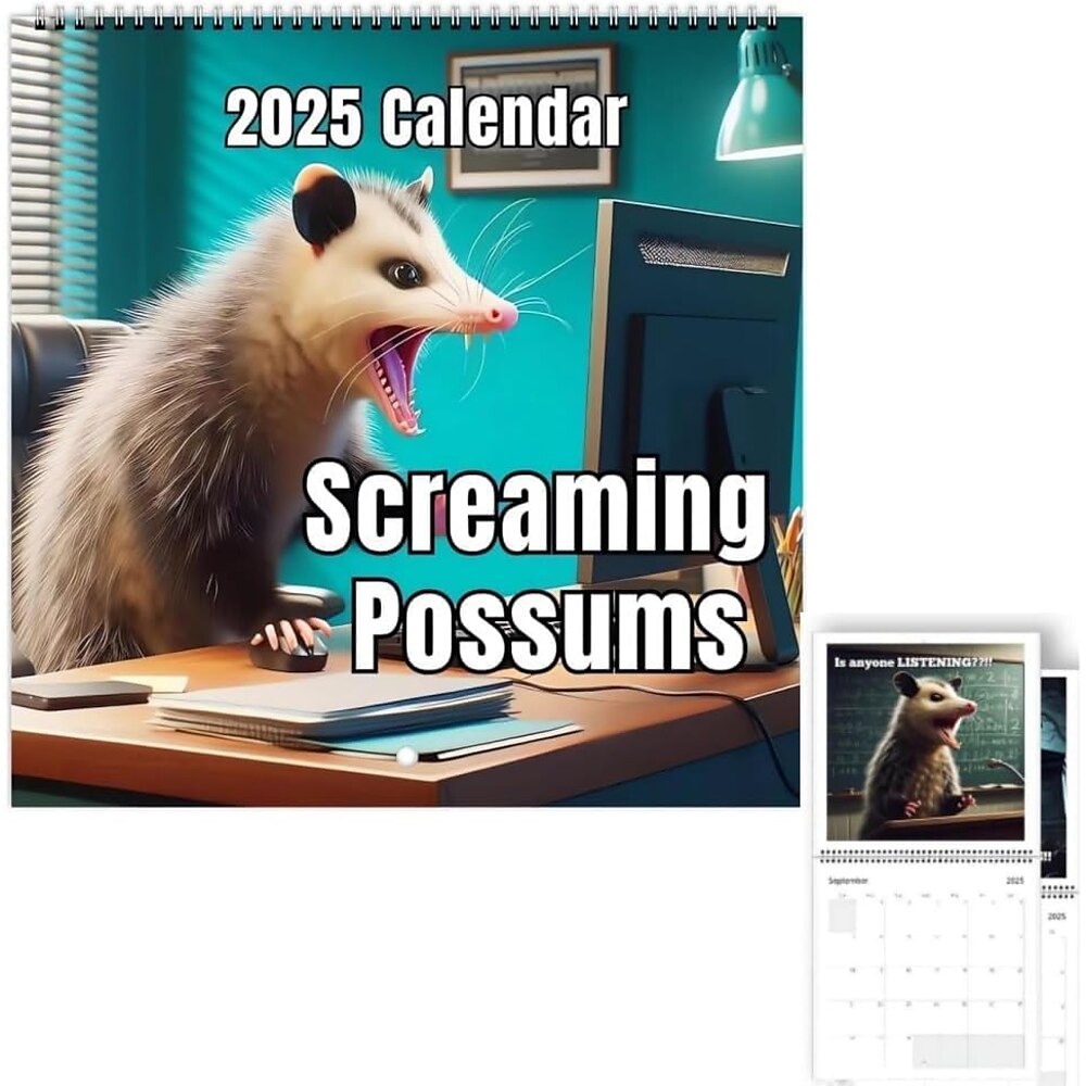 2025 lustiger schreiender Possum-Kalender, schreiender Possum-Kalender, 2025 Wandkalender, dicker Possum-Kalender aus Papier, 12-Monats-Planer, lustiges Scherzgeschenk für Possum-Tierliebhaber Lightinthebox