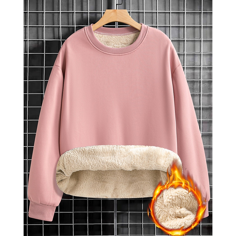 kinderkleidung Mädchen Pullover Feste Farbe Langarm Rundhalsausschnitt Winter Sport Strassenmode Täglich Polyester Outdoor Casual Regular Fit Lightinthebox