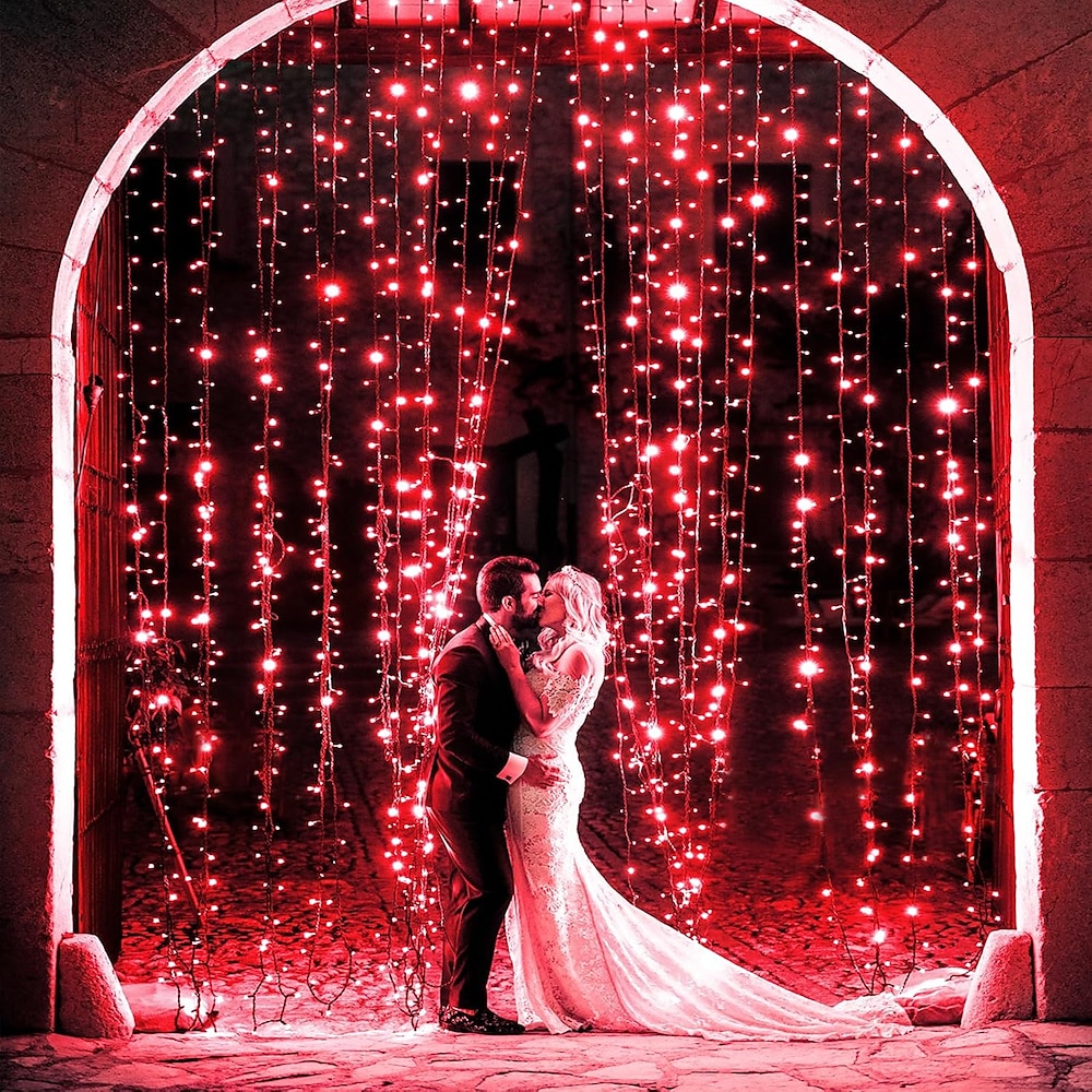 2 LED-Lichterketten mit 100-300 LEDs, rot und rosa, für den Valentinstag, Feiertagsparty, Lichterkette, 10 m/20 m/30 m Lightinthebox