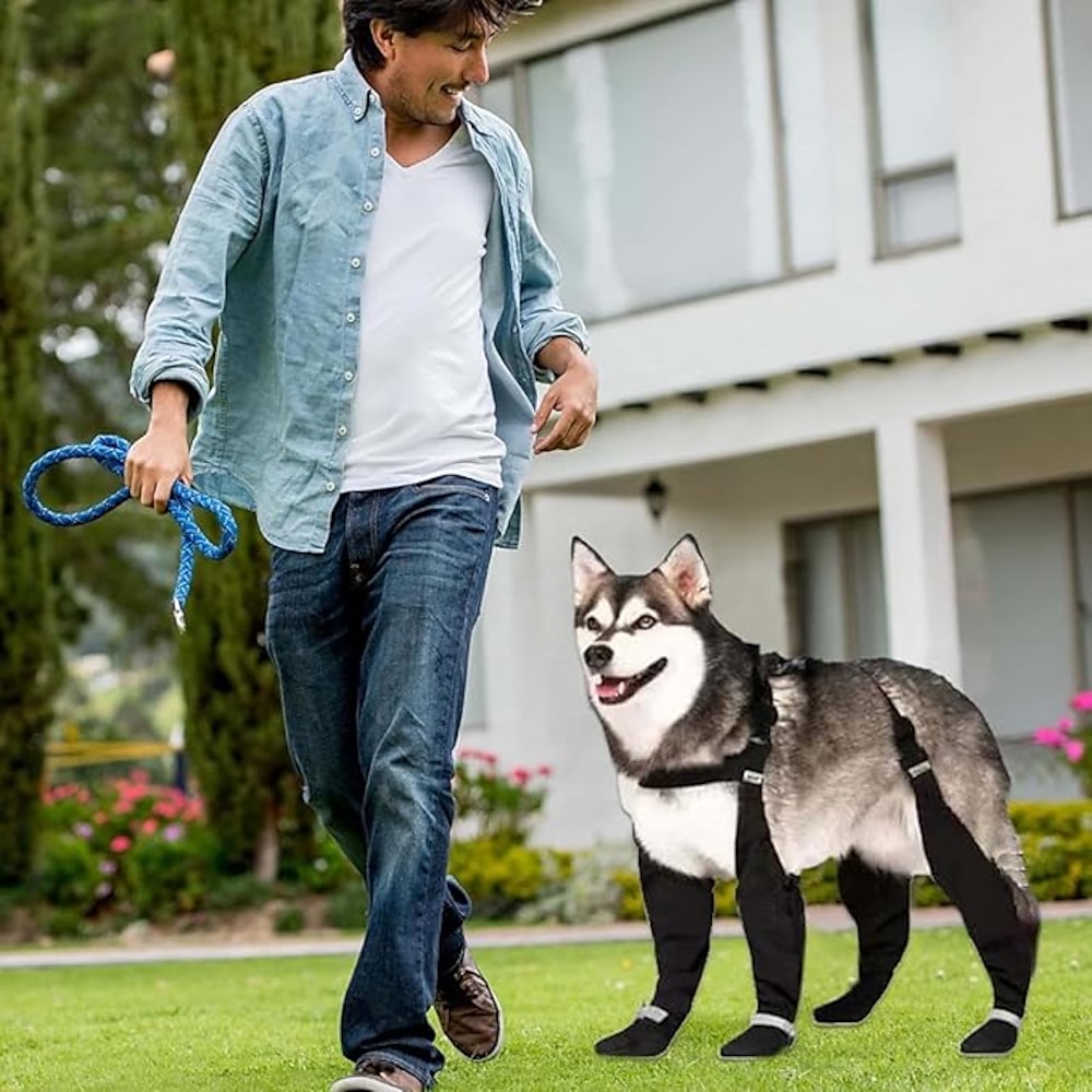 Hunde Pelzige Kleintiere Hund Schuhe und Stiefel Schneestiefel Regenstiefel Rutschfest Leicht Wasserdicht Einfache Einfarbig Sport und Outdoor Für Haustiere Terylen Wasserdichter Stoff Schwarz Lightinthebox