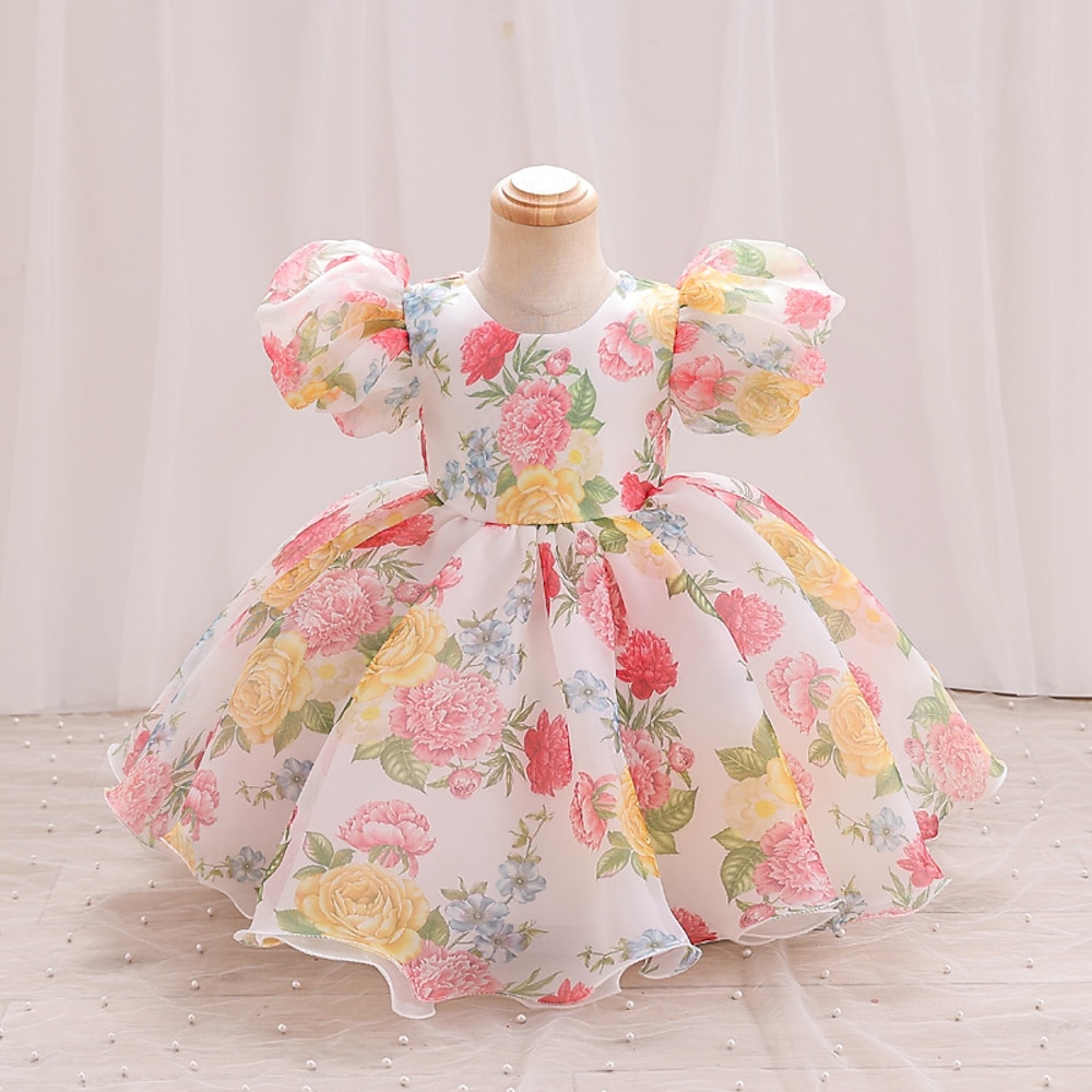 kinderkleidung Mädchen Party Kleid Graphic Kurzarm Besondere Anlässe Prinzessin Polyester abendkleider Sommer Frühling 2-8 Jahre Champagner Grün Rosenrot Lightinthebox