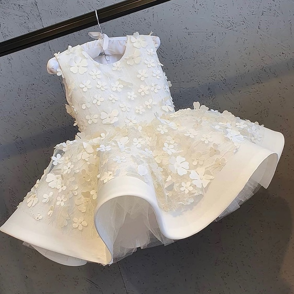 Baby Mädchen Party Kleid Pailletten Ärmellos Leistung Gitter Kuschelig Prinzessin Polyester Übers Knie Etuikleid Tüll-Kleid Sommer Frühling Herbst 3-7 Jahre Weiß Lightinthebox