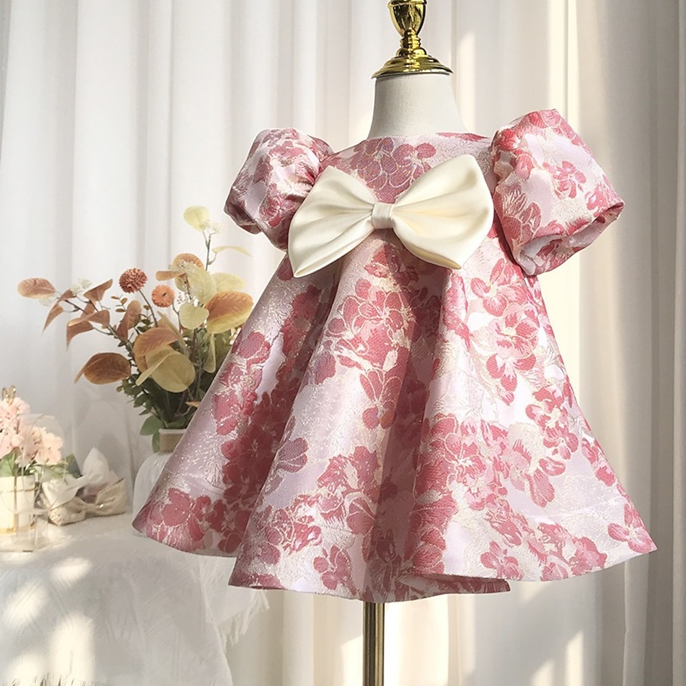 kinderkleidung Baby Mädchen Party Kleid Blume Kurzarm Leistung Bestickt Kuschelig Prinzessin Polyester Übers Knie Etuikleid Tüll-Kleid Sommer Frühling Herbst 4 Jahre Rote Lightinthebox