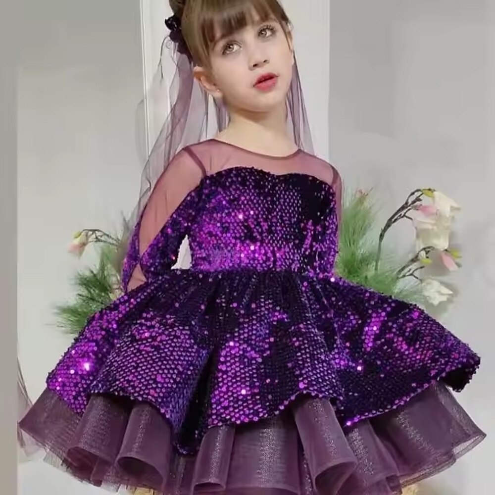 Kinder Mädchen Kleid Partykleid Einfarbig Langarm Leistung Pailletten Netz Prinzessin Süß Netzstoff Über dem Knie, Mini Etui-Kleid Tüllkleid Sommer Frühling Herbst Kinder Purpur Lightinthebox