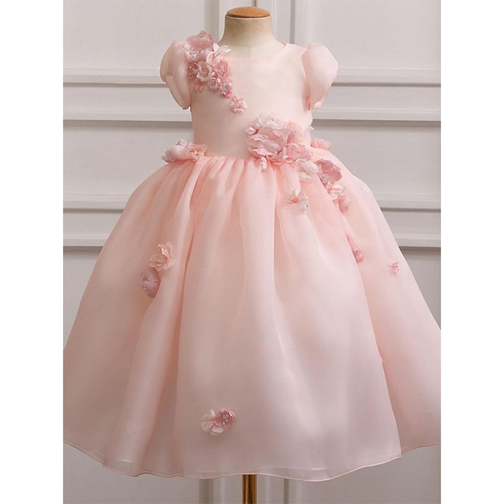 Blumenmädchenkleid Mädchen Formelle Kleidung Prinzessinenkleid Tüllkleid Partykleid Hochzeit Party Prinzessin Süß Weihnachten Karnival Gerafft Puffärmel Einfarbig Kurze Ärmel Rundhalsausschnitt Rosa Lightinthebox