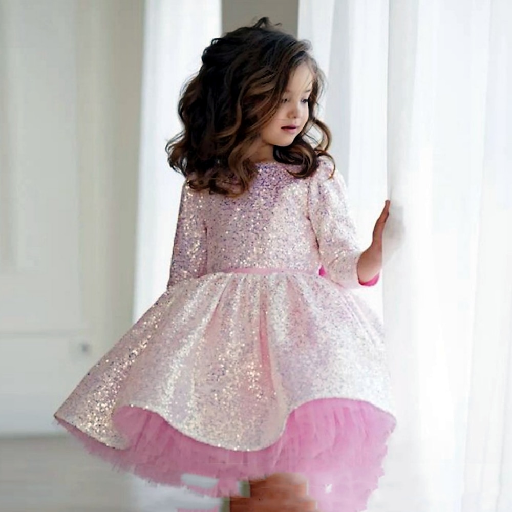 Kinder Mädchen Kleid Partykleid Einfarbig Langarm Leistung Pailletten Netz Prinzessin Süß Netzstoff Knielang Etui-Kleid Tüllkleid Sommer Frühling Herbst Kinder Rosenrot Lightinthebox