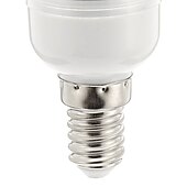 economico Lampadine LED a pannocchia-5 pezzi 3 W LED a pannocchia 450 lm E14 24 Perline LED SMD 5730 Bianco 220-240 V / CE