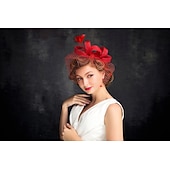 billiga Fascinatorer-Tyll  Fjäder Fascinatorer med 1 Styck Speciellt Tillfälle  Te-Parti  Valentindagen Huvudprydnad Klä dig för att imponera Fascinators Race Day Klänning