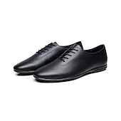 preiswerte Tanzschuhe für Herren-Herren Schuhe für den lateinamerikanischen Tanz Ballsaal Übe das Trainieren von Tanzschuhen Charakterschuhe Outdoor Flach, Ballerina Flacher Absatz Schnürsenkel Schwarz