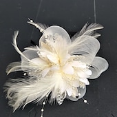 economico Fascinator-Fascinatori  Cappelli  Fasce per capelli in tulle  piume  rete con 1 pezzo Matrimonio  Occasione speciale  Copricapo per tea party per un&#039;ottima impressione Fascinatori del Derby Giornata di corsa