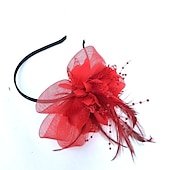 economico Fascinator-Fascinatori  Cappelli  Fasce per capelli in tulle  piume  rete con 1 pezzo Matrimonio  Occasione speciale  Copricapo per tea party per un&#039;ottima impressione Fascinatori del Derby Giornata di corsa