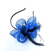 economico Fascinator-Fascinatori  Cappelli  Fasce per capelli in tulle  piume  rete con 1 pezzo Matrimonio  Occasione speciale  Copricapo per tea party per un&#039;ottima impressione Fascinatori del Derby Giornata di corsa