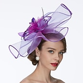 billige Coiffer-Nett Kentucky Hatt  Fascinatorer  Hatter med 1 Stykke Bryllup  Spesiell Anledning  Te Part Hodepryd kjole å imponere Race Dag Kjole