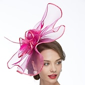 billige Coiffer-Nett Kentucky Hatt  Fascinatorer  Hatter med 1 Stykke Bryllup  Spesiell Anledning  Te Part Hodepryd kjole å imponere Race Dag Kjole