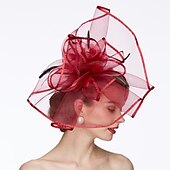 billige Coiffer-Nett Kentucky Hatt  Fascinatorer  Hatter med 1 Stykke Bryllup  Spesiell Anledning  Te Part Hodepryd kjole å imponere Race Dag Kjole