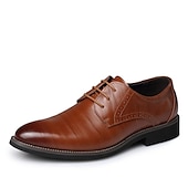 abordables Officiel-Homme Oxfords Chaussures derby Chaussures habillées Entreprise Classique du quotidien Bureau et carrière Soirée &amp; Evénement Cuir Preuve de l&#039;usure Lacet Noir Jaune Bleu Printemps Automne